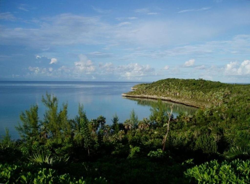 Beside The Pointe Cottage Savannah Sound Luaran gambar